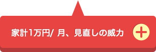 家計1万円/ 月、見直しの威力
